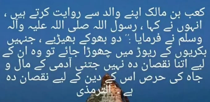 مال و جاہ کی حرص